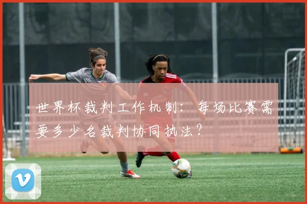 世界杯裁判工作机制：每场比赛需要多少名裁判协同执法？