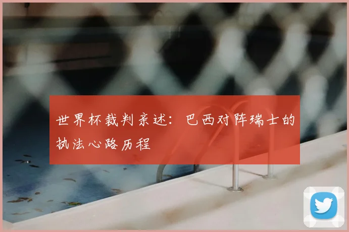 世界杯裁判亲述：巴西对阵瑞士的执法心路历程