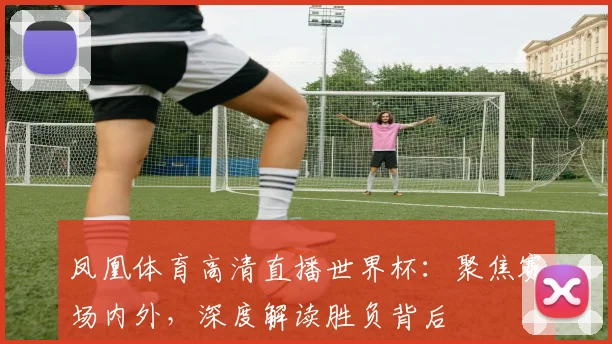 凤凰体育高清直播世界杯：聚焦赛场内外，深度解读胜负背后