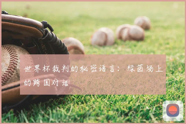 世界杯裁判的秘密语言：绿茵场上的跨国对话