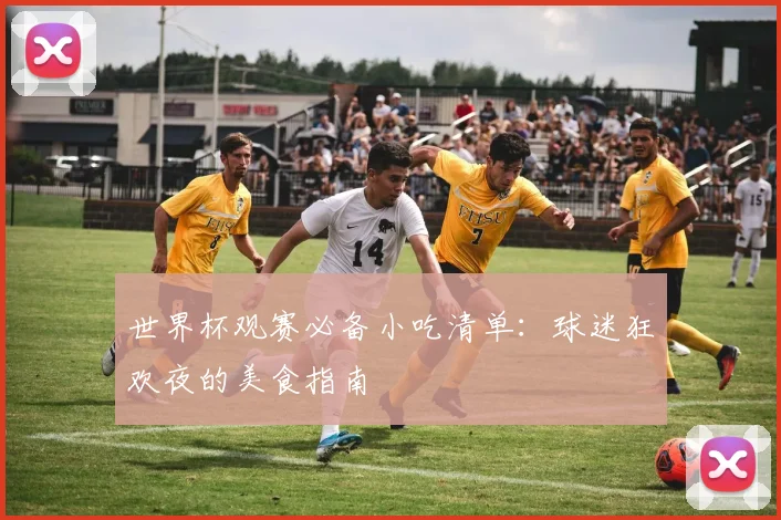 世界杯观赛必备小吃清单：球迷狂欢夜的美食指南