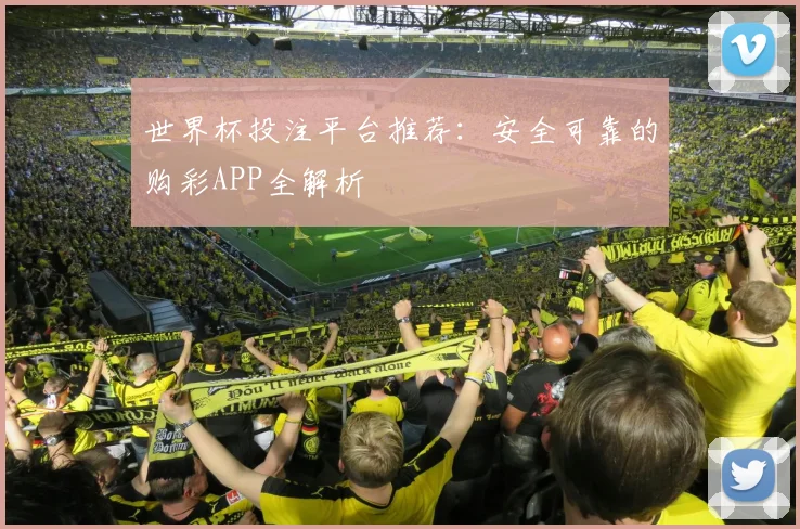 世界杯投注平台推荐:安全可靠的购彩APP全解析