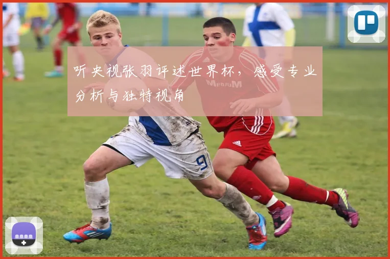 听央视张羽评述世界杯，感受专业分析与独特视角