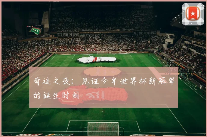 奇迹之夜：见证今年世界杯新冠军的诞生时刻