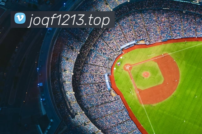 开云官方在线登陆入口平台生态图