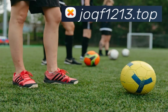 开云官方在线登陆入口APP 封面图